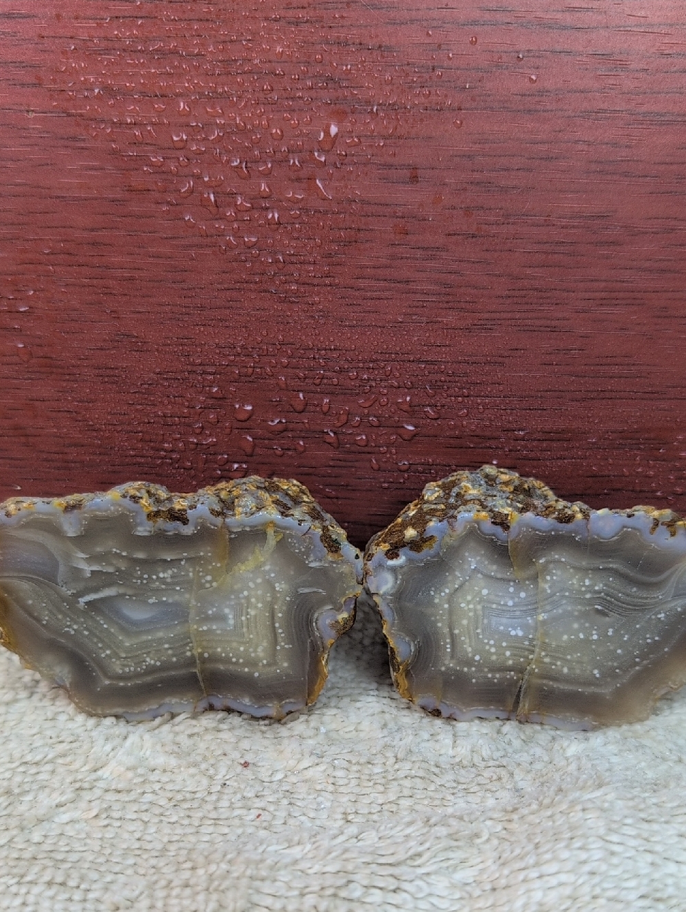 Picacho Agate #5